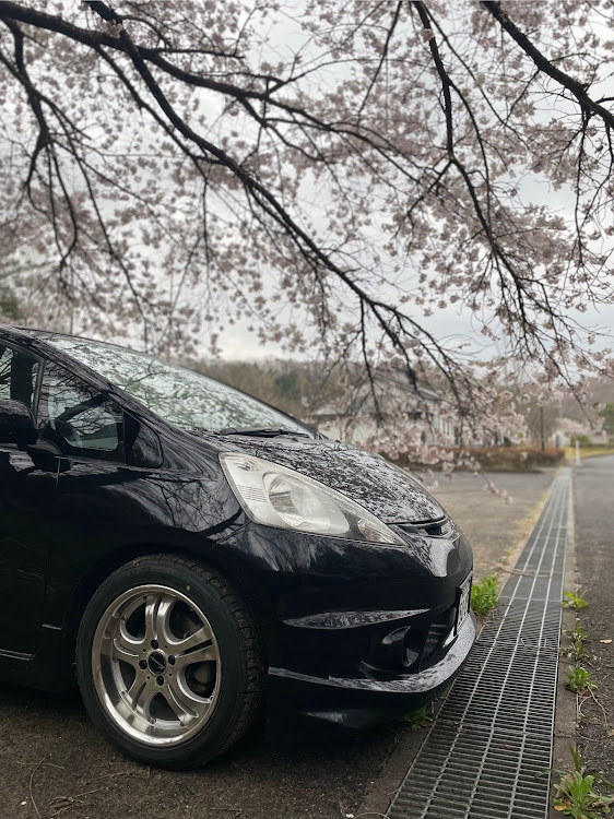 フィットのフィット・4WD・無限MUGEN・桜とコラボ・4月もよろしくお願い致します🌸に関するカスタム事例の投稿画像1枚目