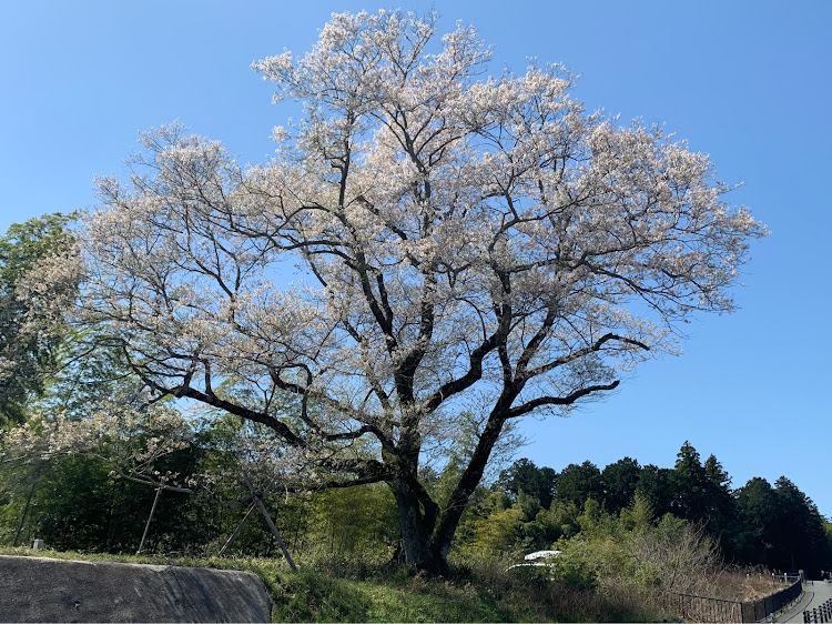 の投稿画像2枚目