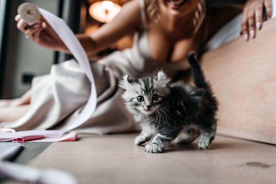 Svatební fotograf Anastasiya Lesnova (lesnovaphoto). Fotografie z 28.září 2018