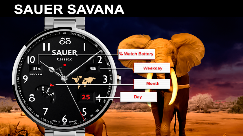 Sauer Savana Watch Face Screen 1