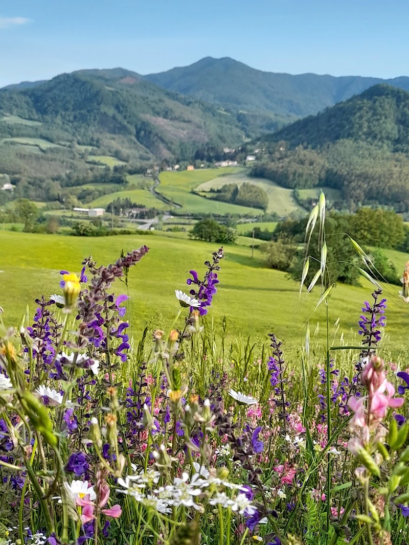 I colori della primavera di Saverionepi