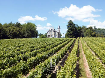 château à Mareuil-sur-Lay-Dissais (85)