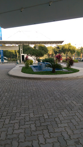 Jardim CIPD