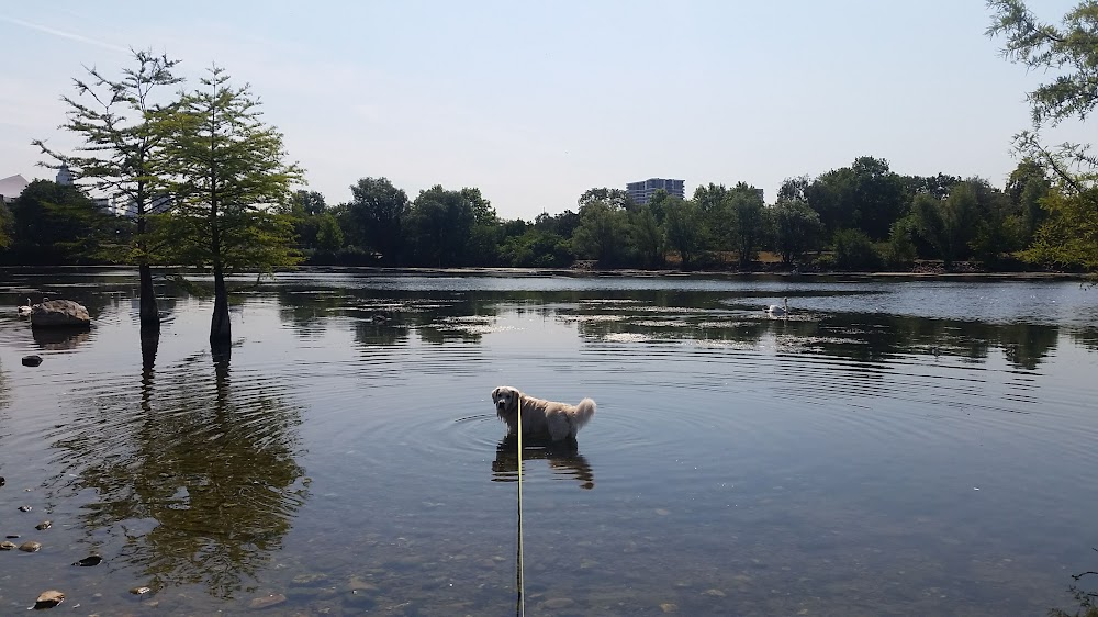 Rebstockpark Weiher