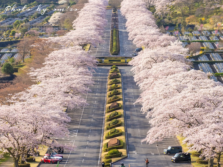 の投稿画像3枚目