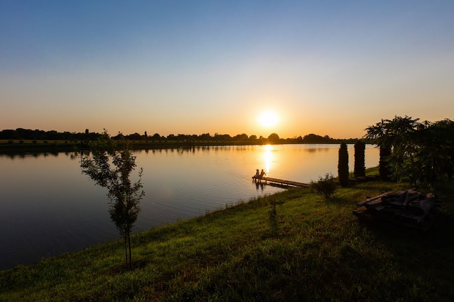 Fotografer pernikahan Dmitriy Shevchenko (allatrust). Foto tanggal 15 Juli 2021