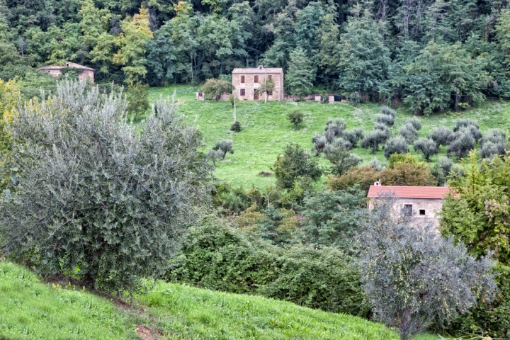 L?autunno di franco1979