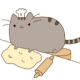 Pusheen Cat Wallpaper New Tab Theme