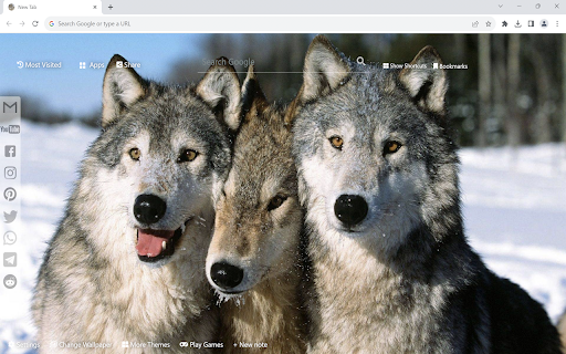 Wolf Wallpaper New Tab