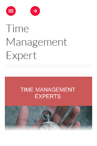 Time Management Experts