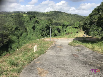 terrain à Sainte luce (972)