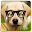 What's The Perfect Dog For Me? Download on Windows