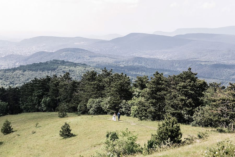 Hochzeitsfotograf Laszlo Vegh (laca). Foto vom 23. Juni 2019