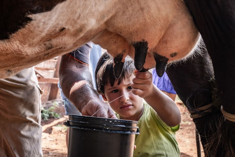 Photographer sa kasal Zé Américo (zeamerico). Larawan ni 16 Pebrero