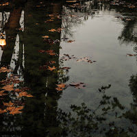 Autunno bagnato di 