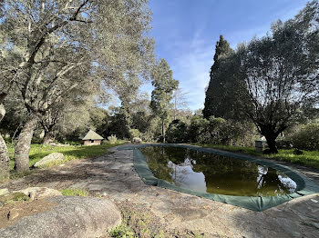 terrain à Figari (2A)