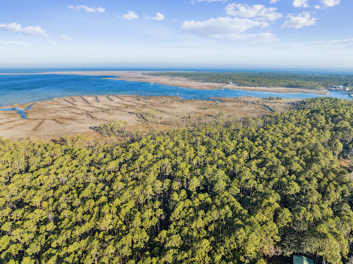 Buy this luxury land in Santa Rosa Beach (United States) - Aerial view forest and bay