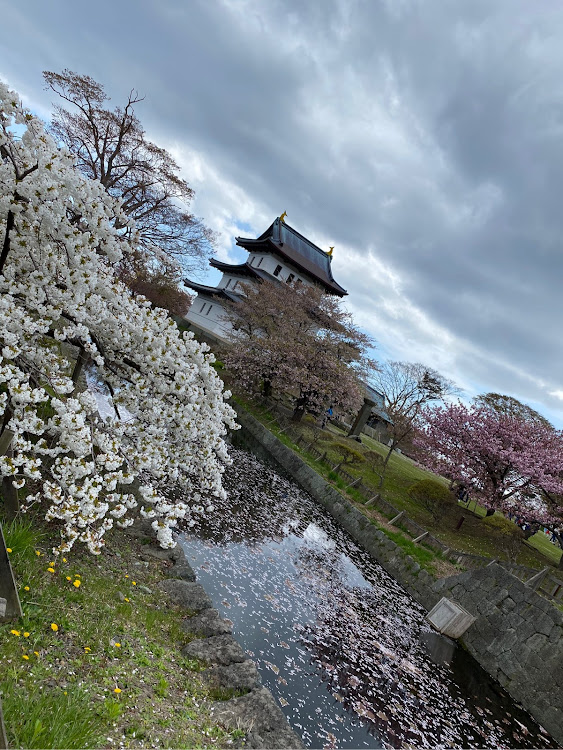 ランドクルーザープラドのもりもりたさんが投稿したカスタム事例の投稿画像3枚目
