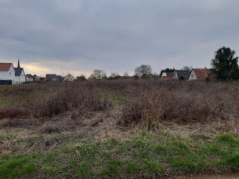 maison neuve à Steinbourg (67)