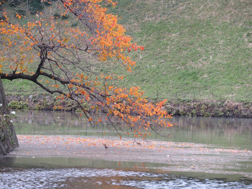 Wandering around the Imperial Palace & elsewhere Tokyo Japan 2017