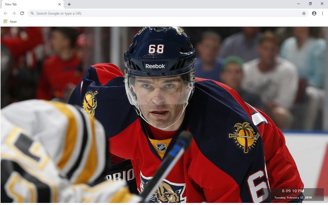 NHL Florida Panthers New Tab