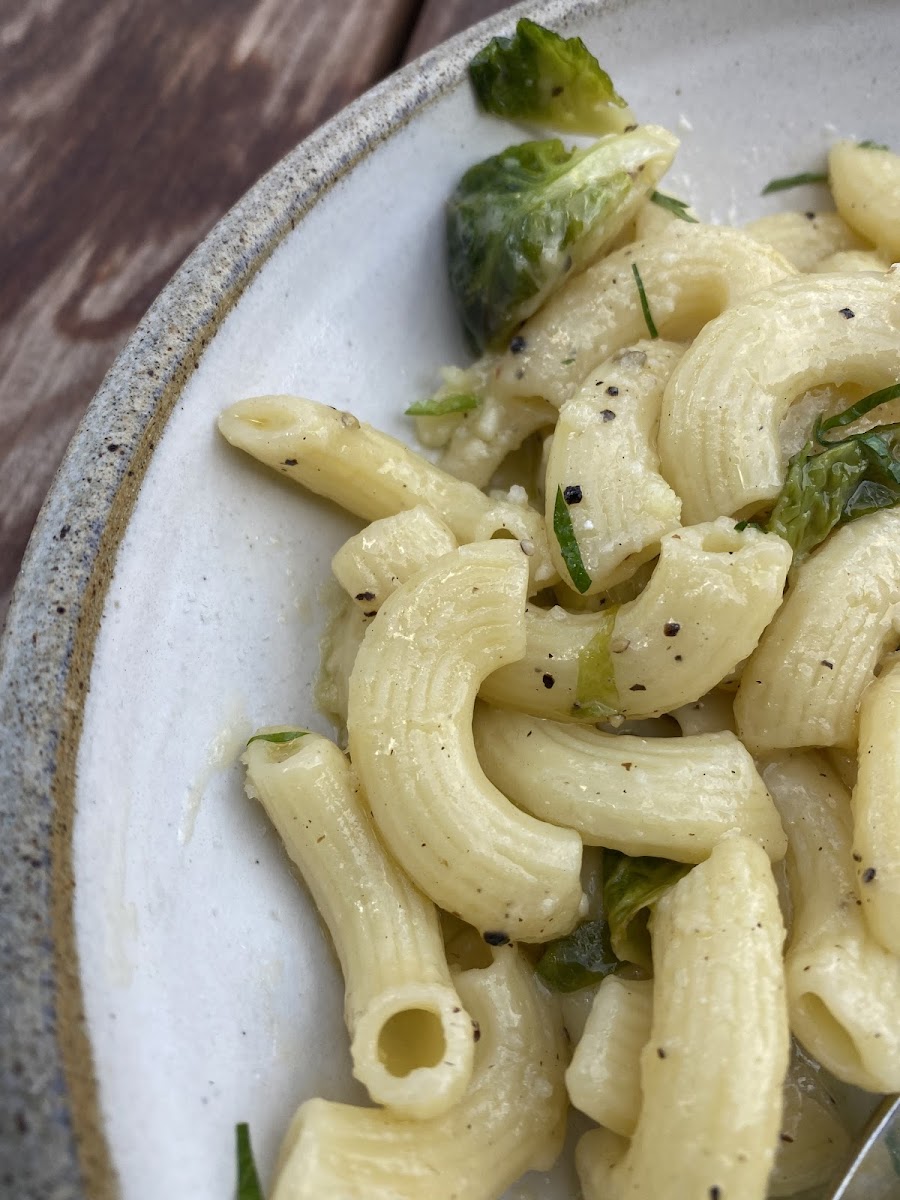 Delicious  fresh GF pasta from their GF lab