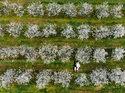 Photographe de mariage Paweł Mucha (zakatekwspomnien). Photo du 12 mai 2023