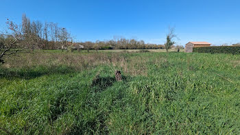 terrain à Coulon (79)