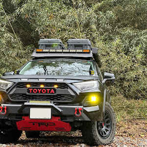 RAV4 MXAA54