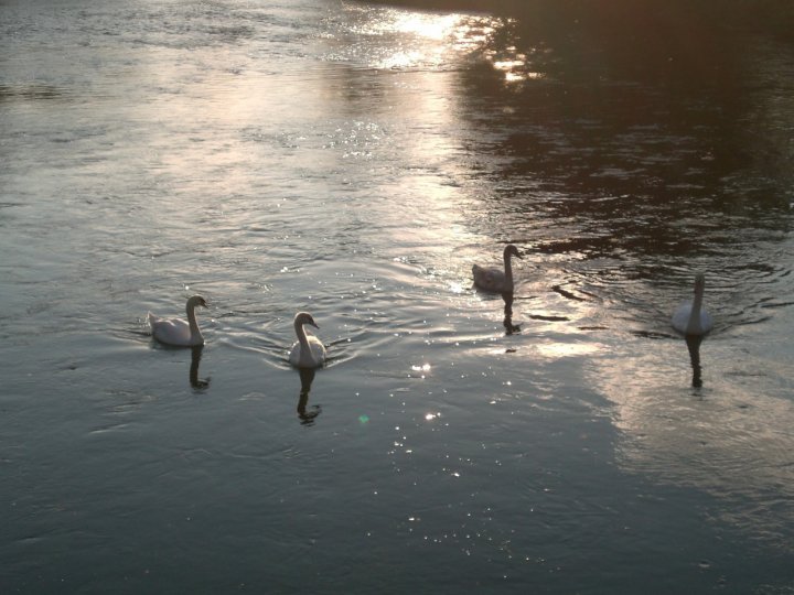 Al tramonto..... di peperino