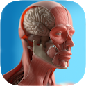 Icon Anatomy Game Anatomicus Pro