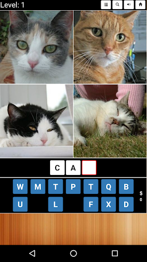 4 Pics 1 Word