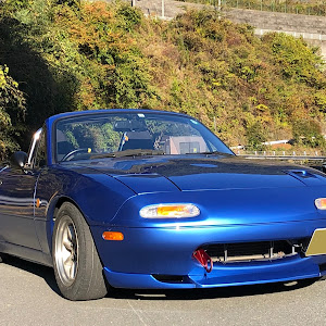 ロードスター NA8C