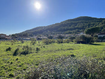 terrain à Cuers (83)