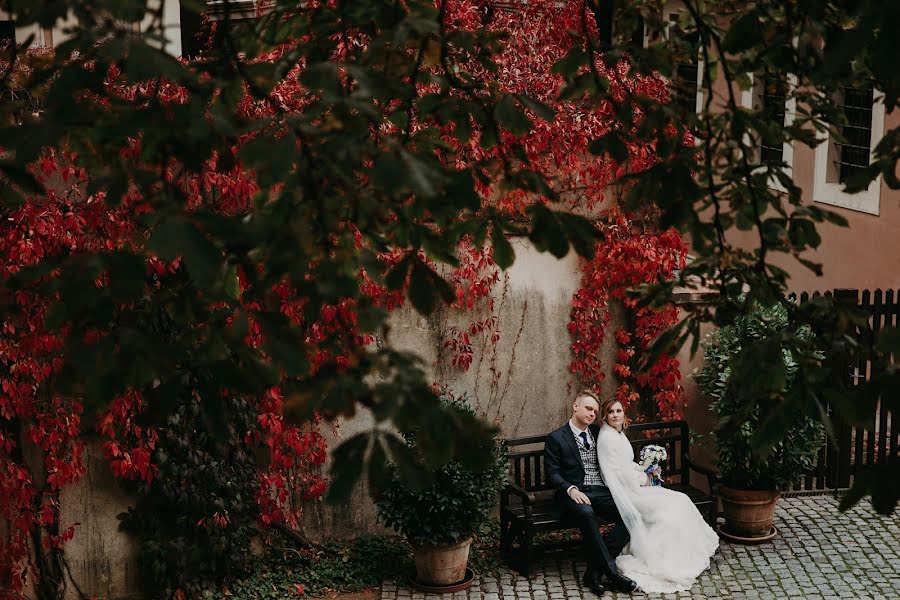 Bryllupsfotograf Aleksandra Shulga (photololacz). Bilde av 23 januar 2018