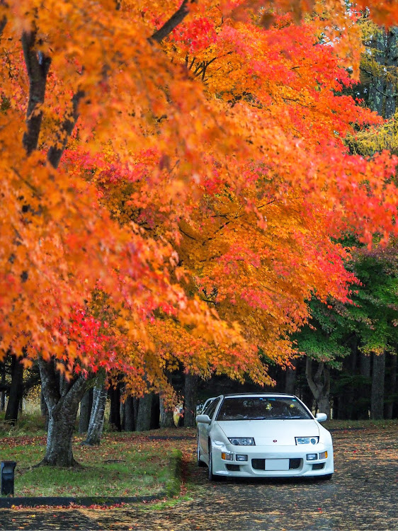 フェアレディZの目指せPickUpCarsに関するカスタム事例の投稿画像1枚目