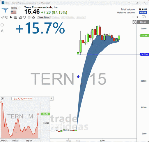 TERN- Holly Trade 11032025