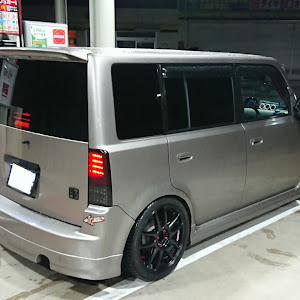 bB NCP31