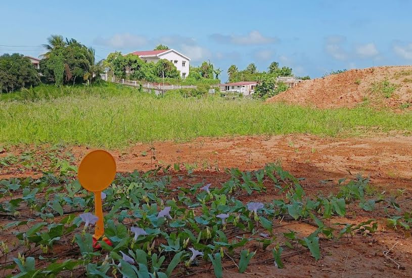  Vente Terrain à bâtir - à Le Lorrain (97214) 