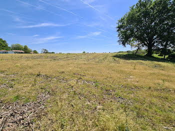 terrain à Sainte-Marie-de-Gosse (40)