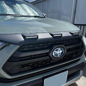 RAV4 AXAH54