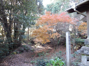 神社横の紅葉