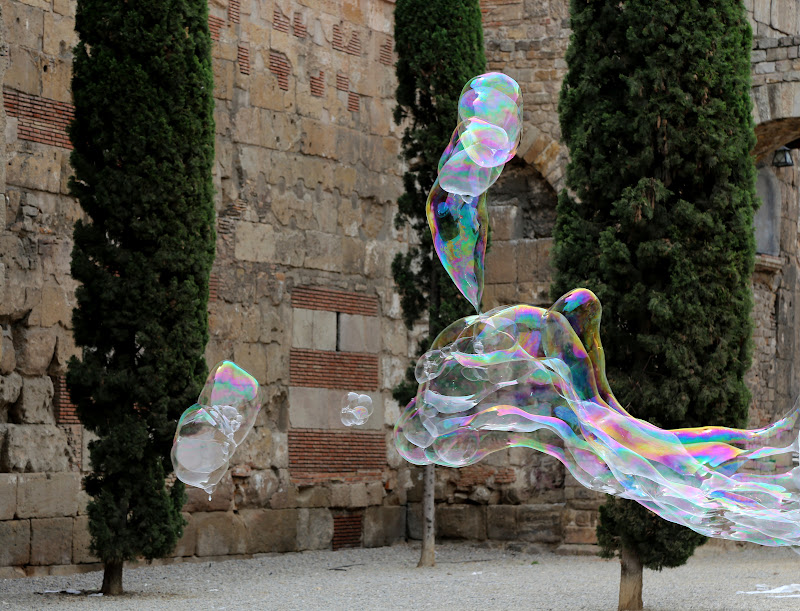 Bolle e cipressi a Barcellona di Dama