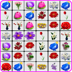 Onet Flowers 1.0