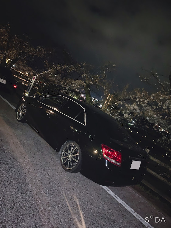 アリオンの桜と愛車に関するカスタム事例の投稿画像4枚目