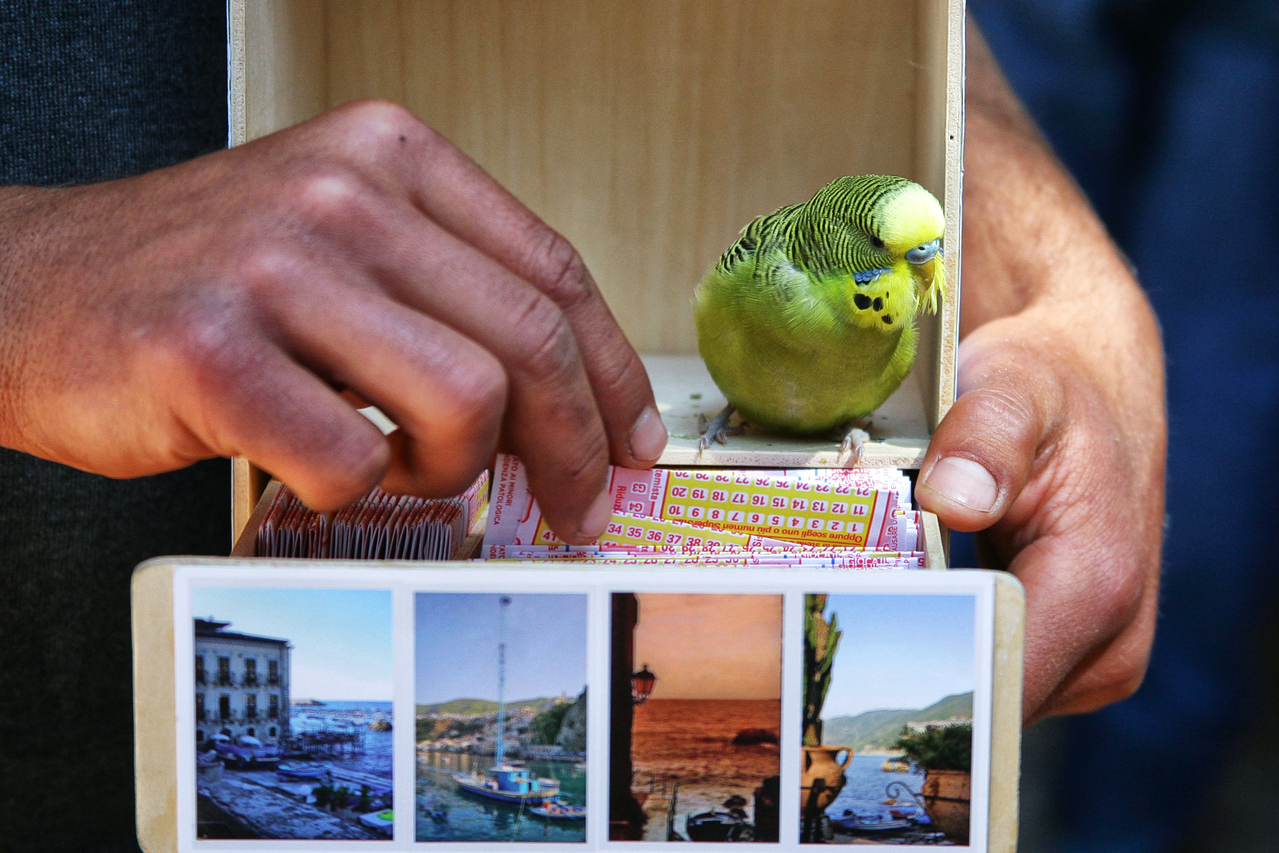 Il desiderio di tutti di Fiorenza Aldo Photo