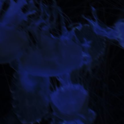 匿名R
