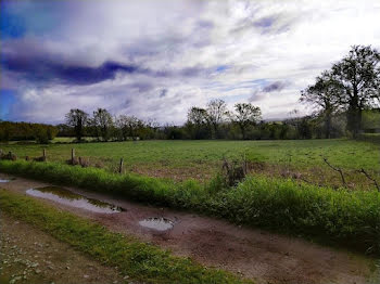 terrain à Chassenon (16)