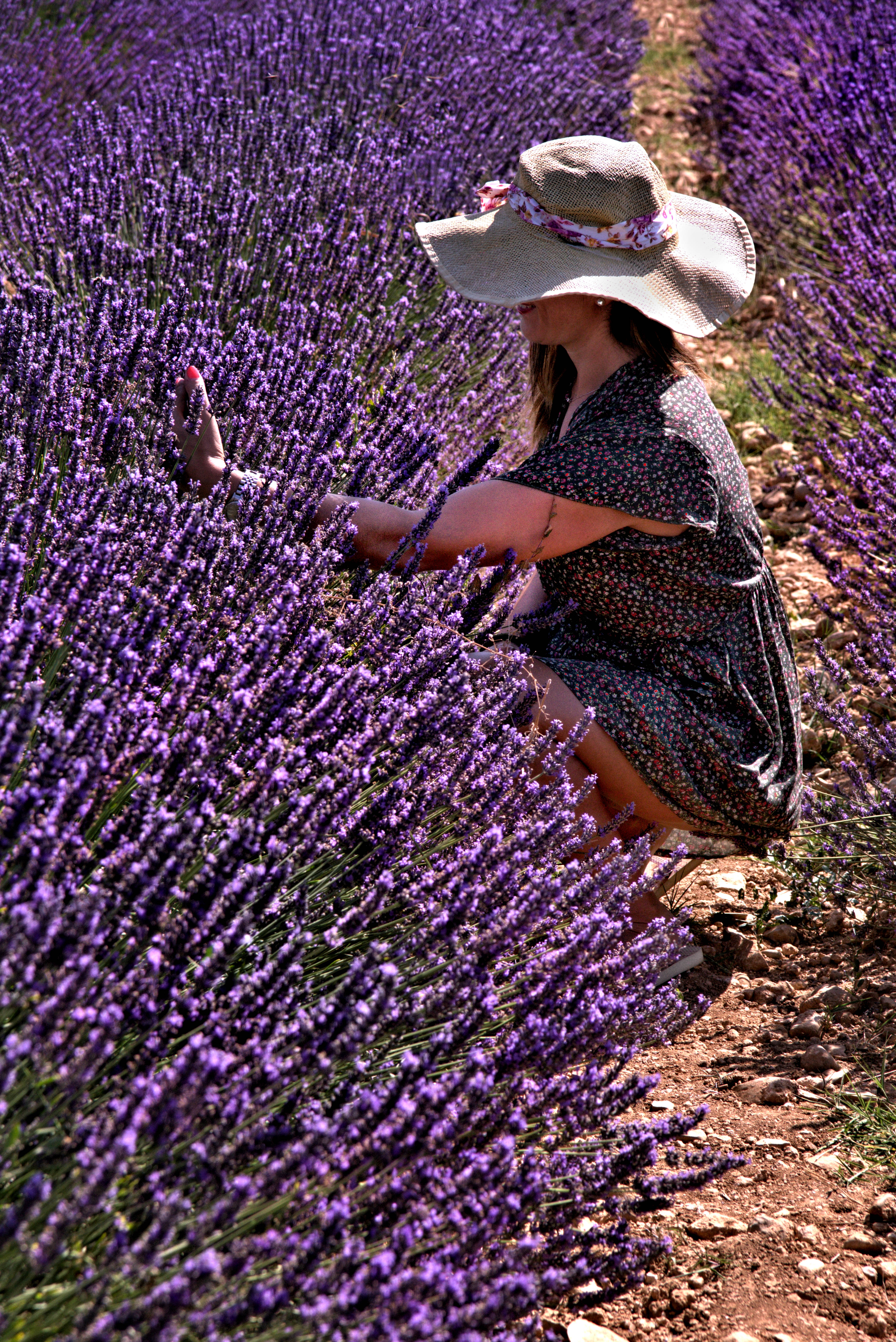 selfie e lavanda di ruggeri alessandro