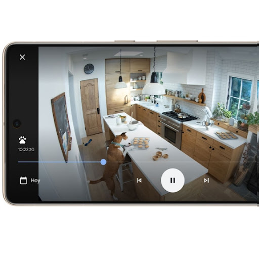 Event history in the Google Home app shows the dog taking a biscuit off the kitchen worktop.